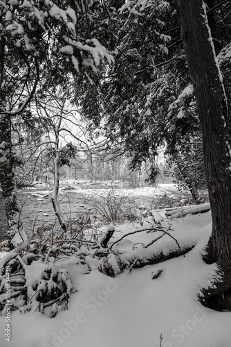 Φωτογραφία Winter riverscape in park Quebec Canada
