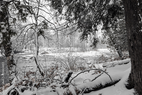 Tableau sur toile Winter riverscape in park Quebec Canada