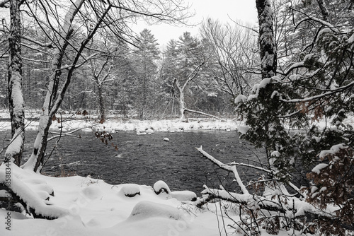 Bild auf Leinwand Winter riverscape in park Quebec Canada
