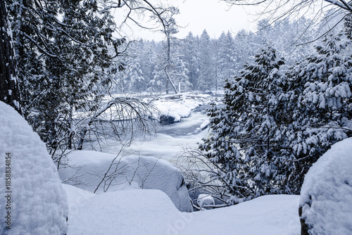 Tableau sur toile Winter riverscape in park Quebec Canada