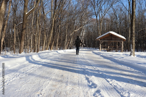 A woman in a path in winter. Forest, snow, wooden shelter and someone walking. Hiking and trail in winter and outdoor activities. Relaxing in the forest in winter.