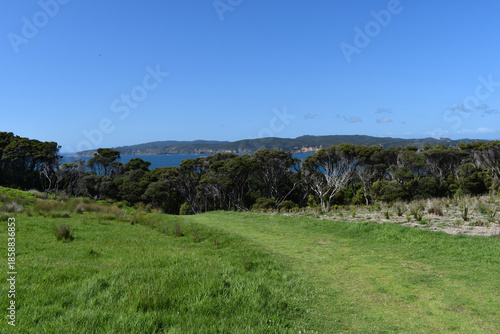 Coastal  landscape, on the Tawharanui Peninsula, Warkworth, North Island, New Zealand