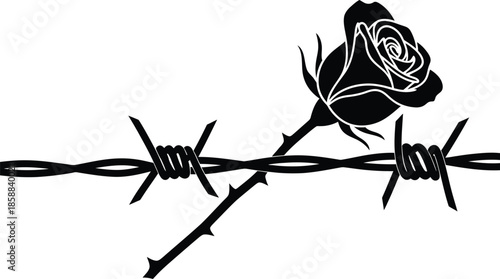 barbed wire isolated on white