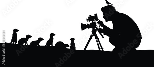 Silhouette of Wildlife Filmmaker Recording Meerkats in Natural Habitat – Creative Animal Observation Scene with Bird, Camera, and Tripod Setup