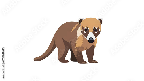An adorable coati illustration with brown fur, white markings, and a long tail, standing facing forward