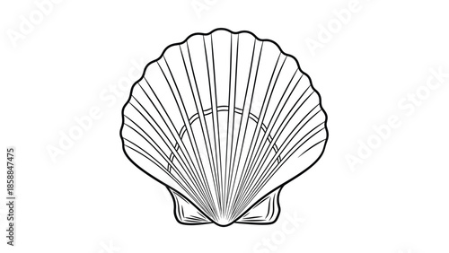 An outline illustration of a single scallop seashell with distinct ridged patterns on a white background