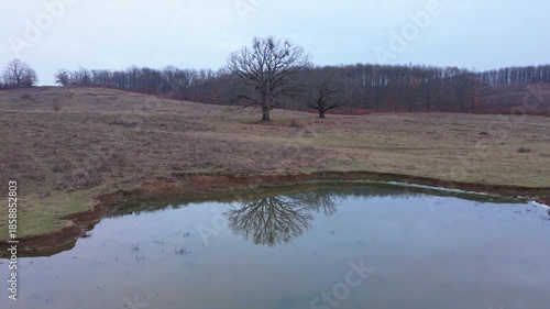 Aerial reveal over pond and oaks