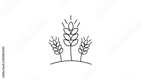 Minimalist black outline drawing of three wheat stalks with shining grains, symbolizing agriculture and harvest