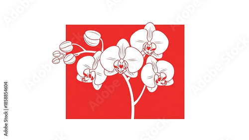 Minimalist white line art illustration of orchid flowers and buds on a vibrant red rectangular background