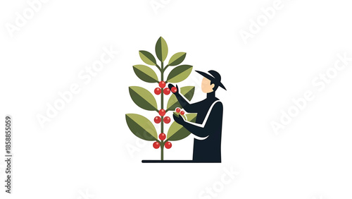 Simple vector illustration of a person in a hat harvesting red berries from a green plant, representing agriculture