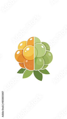 Stylized illustration of a cloudberry, split into ripe orange/yellow and unripe green halves, with leaves