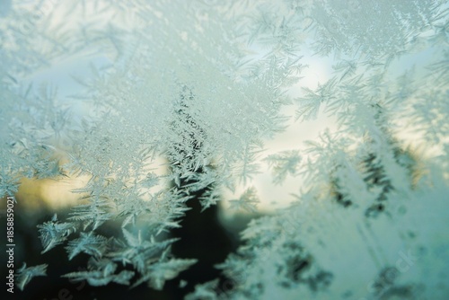 Abstraktes Motiv mit beschlagener Eisbedeckter Glasscheibe mit weißem Eismuster vor hoher grüner Tanne und goldrotem Himmel bei Schnee, Sonne, Frost und Kälte bei Sonnenaufgang am Morgen im Winter