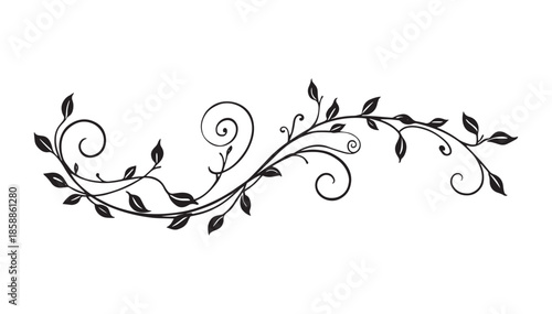Elegant Floral Vine Ornament with Delicate Botanical Swirls and Minimalist Leaf Accents