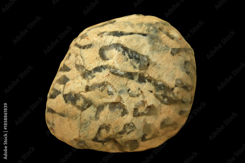 Ταπετσαρία Graphic Granite, Runite from Oppelhain in Lower Lusatia, Germany