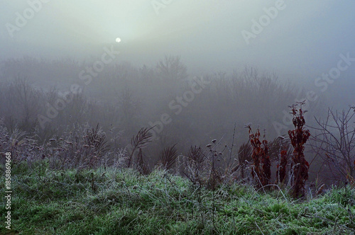Chilly and foggy morning in the country