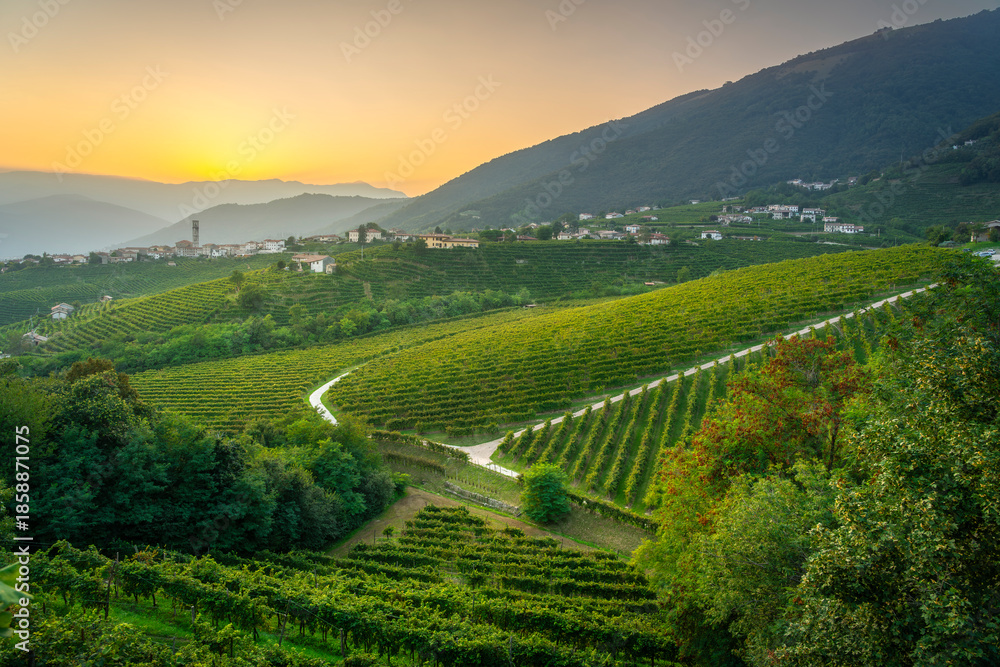 Obraz premium San Pietro di Barbozza and Prosecco Vineyards at Sunset, Italy
