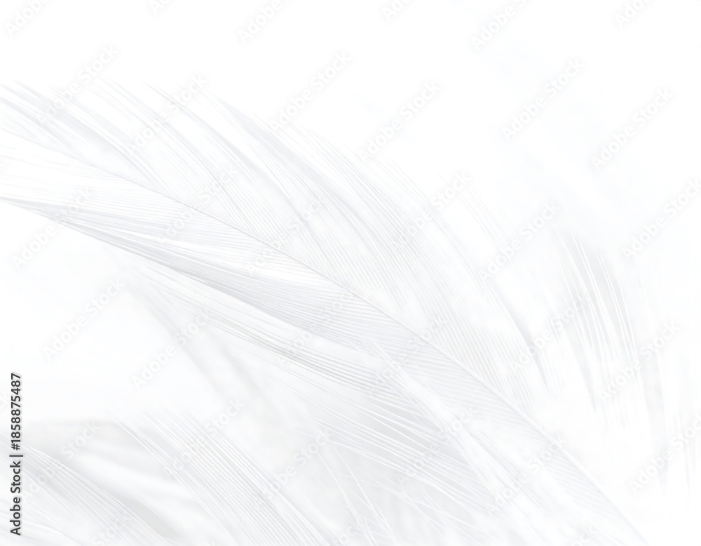Obraz premium Abstract white feather-like lines on white background