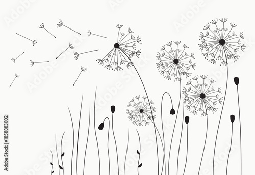 Vector illustration dandelion seed blowing in the wind. Dandelion seed icon.  Vector illustration