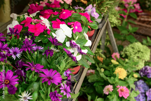 Shelves with flowers on str...