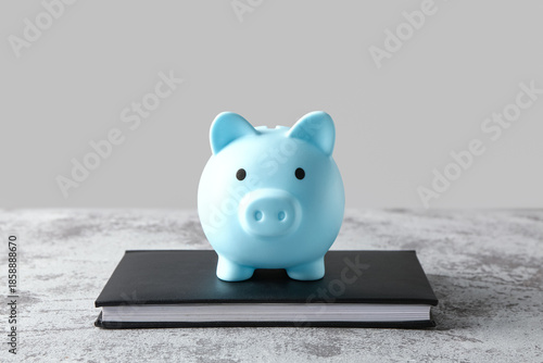 Piggy bank with book on gru...