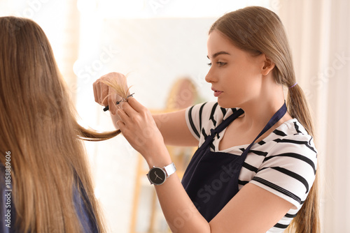 Female hairdresser cutting ...