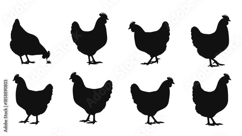 Collection of eight black chicken silhouettes in various poses against a white background.