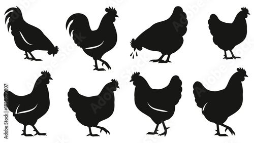 A collection of black silhouettes of various chickens and a rooster in different poses on a white background.