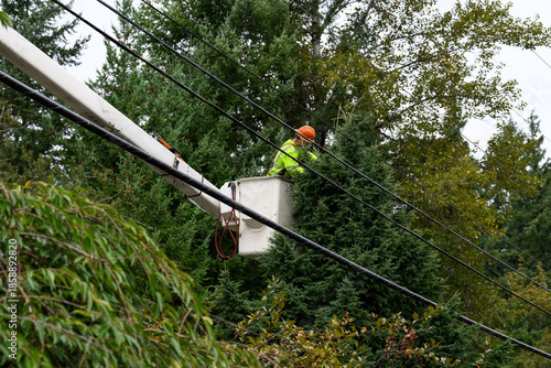 Fotografía Arborist with a saw in a lift bucket pruning tree branches to keep them away fro
