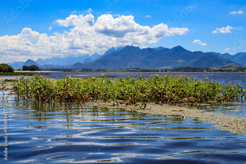 Lagoa de Cima, Campos dos Goytacazes, rj.