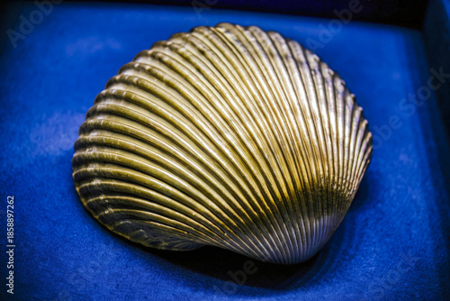 Wallpaper Mural a shell is on a blue surface Torontodigital.ca