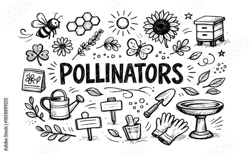 Doodle illustration of pollinators and gardening tools with the word pollinators