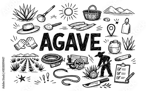 Hand-drawn agave farming and tequila production elements in a sketch style