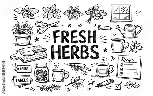 Hand-drawn illustration of fresh herbs and kitchen essentials for cooking and recipes