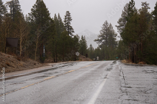 Rain-soaked asphalt road stretches into the distance through a conifer forest, with tall trees lining both sides, distant mountains shrouded in mist.  Sierra Nevada mountains near Lake Tahoe.  