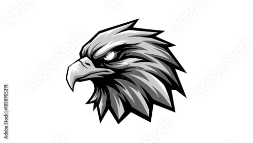 A detailed illustration of an eagle's head showcasing sharp features and textured feathers
