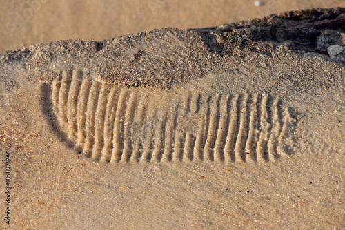 A shoe print in the sand on a beach in Rio de Janeiro.