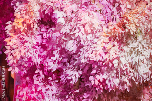 White and pink leaf used for decoration in a house in Rio de Janeiro.