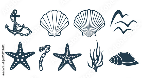 A vector illustration showcases a collection of nautical elements including anchor, seashells, starfish, seaweed, and birds, set against a clean, minimalist background.