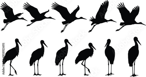 Stork and heron bird silhouette collection, flying and standing water birds in elegant poses, black wildlife nature vector illustration set