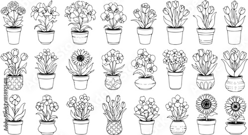 Black and White Line Art Collection of Potted Flowers and Plants, Floral Garden Elements