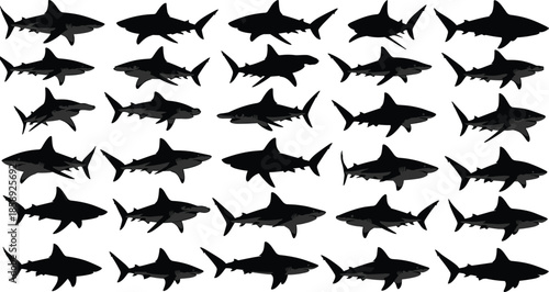 Shark silhouettes collection vector, marine predator shapes, ocean wildlife set, black sea animal illustrations isolated on white background, for design projects