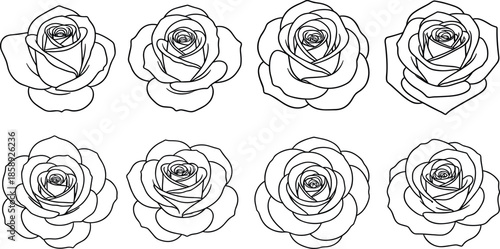 Set of detailed rose flower line art illustrations featuring blooming floral outlines for nature love and romantic garden designs.