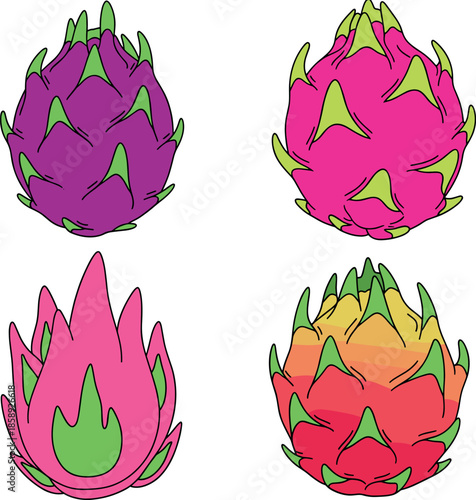 Set of four colorful dragon fruit illustrations featuring pink, purple, and orange pitaya designs for tropical food and nature concepts.