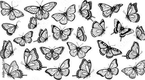 Nature-inspired Black  White Line Art Butterflies Collection - Hand-drawn Outline Sketch for Design and Decoration