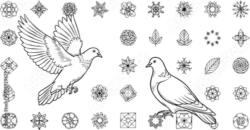 Black and White Line Art Doves and Abstract Decorative Patterns Vector Set - Hand-Drawn Flying and Perched Pigeons with Geometric, Floral, and Leaf Outline Elements for Nature and Peace Designs