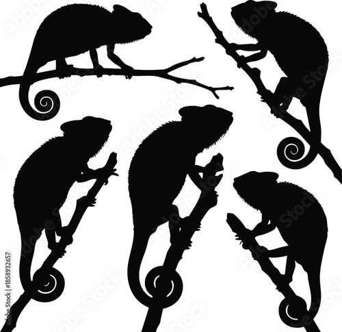 Chameleon Silhouettes on Branches Set, Black Silhouette Illustrations of Chameleons Climbing, Collection of Chameleon Profiles in Various Poses, Reptile Silhouette Vector Art, silhouette, illustration