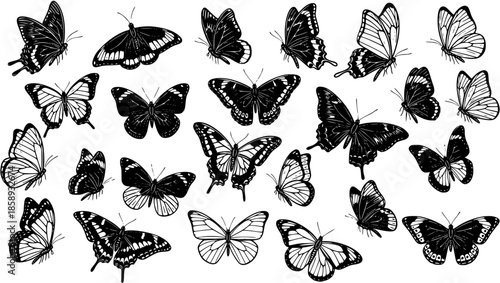 Black and White Line Art Collection of Diverse Butterfly Silhouettes for Nature and Insect Themes