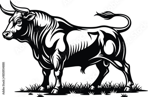 Powerful bull illustration, black and white animal vector artwork, strong livestock symbol, muscular stance, detailed line art design, logo, mascot