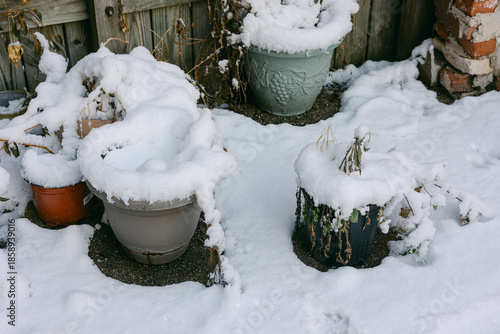 Snow covers flower pots and plants in a garden during winter in a residential area