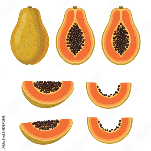 Vibrant tropical papaya fruit illustration set featuring whole, halved, and freshly cut slices with seeds, ideal for healthy eating and sweet snack concepts